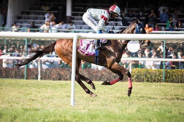 Começando nas Corridas: Tudo Que Você Precisa Saber Para Apreciar o Esporte