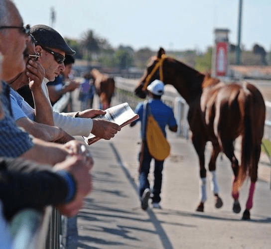 No Alvorecer da Competição: Um Relato Emocionante dos Preparativos na Pista